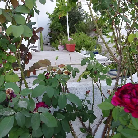 Andreas Studio With Private Parcking Apartament *