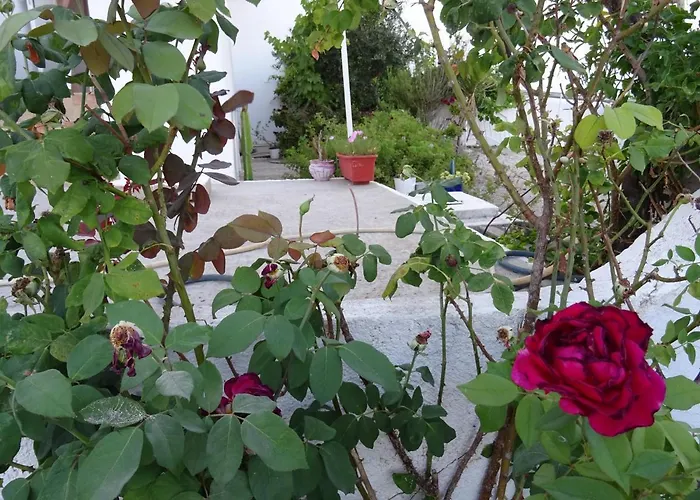 Andreas Studio With Private Parcking Appartement *